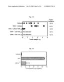 Vaccine Composition Comprising Alpha-Galactosylceramide as an Adjuvant For Intranasal Administration diagram and image