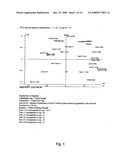 Fast Wet-Massing Method for the Preparation of Calcium-Containing Compositions diagram and image
