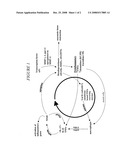 Compositions and Methods for Treating and Preventing Inflammatory and/or Degenerative Processes in Humans and Other Animals diagram and image