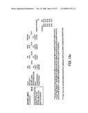 Modification of Particle Morphology to Improve Product Functionality diagram and image