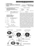 Cell Based Methods And Systems For The Identification Of Rna Regulatory Sequences And Compounds That Modulate Their Functions diagram and image