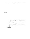 Cell Based Methods And Systems For The Identification Of Rna Regulatory Sequences And Compounds That Modulate Their Functions diagram and image