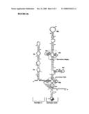 Cell Based Methods And Systems For The Identification Of Rna Regulatory Sequences And Compounds That Modulate Their Functions diagram and image