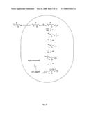 Intermediates and enzymes of the non-mevalonate isoprenoid pathway diagram and image