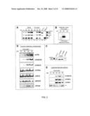 Cell Free Screening Assay and Methods of Use diagram and image