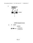 Cell Free Screening Assay and Methods of Use diagram and image