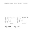 METHODS AND DEVICES FOR EARLY DETECTION OF CANCER CELLS AND TYPES THROUGH MICROMECHANICAL INTERACTIONS diagram and image