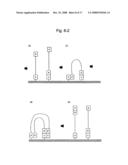 Large-scale parallel nucleic acid analysis method diagram and image