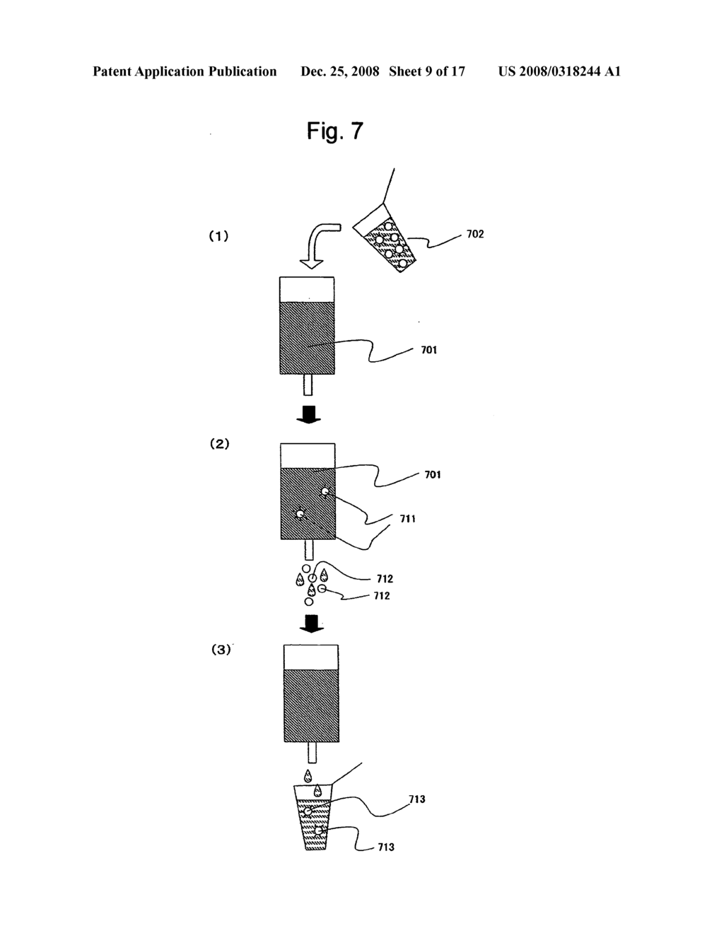 Large-scale parallel nucleic acid analysis method - diagram, schematic, and image 10