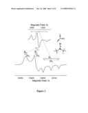 NANOTUBE STRUCTURES HAVING A SURFACTANT BILAYER INNER WALL COATING diagram and image