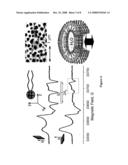 NANOTUBE STRUCTURES HAVING A SURFACTANT BILAYER INNER WALL COATING diagram and image