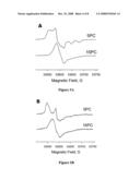 NANOTUBE STRUCTURES HAVING A SURFACTANT BILAYER INNER WALL COATING diagram and image