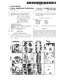 Mammalian Sweet And Amino Acid Heterodimeric Taste Receptors diagram and image