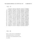 PSCA prostate stem cell antigen and uses thereof diagram and image