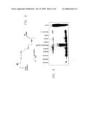 PSCA prostate stem cell antigen and uses thereof diagram and image