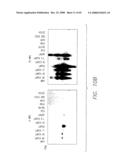 PSCA prostate stem cell antigen and uses thereof diagram and image