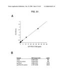 PSCA prostate stem cell antigen and uses thereof diagram and image