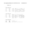 PSCA prostate stem cell antigen and uses thereof diagram and image