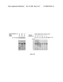 METHOD OF IDENTIFYING CANCER BIOMARKERS AND CANCER PROGRESSION diagram and image