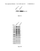 METHOD OF IDENTIFYING CANCER BIOMARKERS AND CANCER PROGRESSION diagram and image