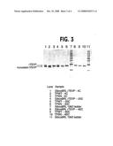 MUTANT PROTEINASE WITH REDUCED SELF-CLEAVAGE ACTIVITY AND METHOD OF PURIFICATION diagram and image