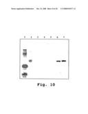 Expression of human milk proteins in transgenic plants diagram and image