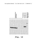 Expression of human milk proteins in transgenic plants diagram and image