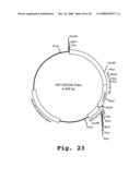 Expression of human milk proteins in transgenic plants diagram and image