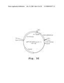 Expression of human milk proteins in transgenic plants diagram and image