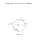 Expression of human milk proteins in transgenic plants diagram and image