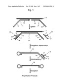 Nucleic acid amplification method diagram and image