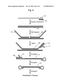 Nucleic acid amplification method diagram and image