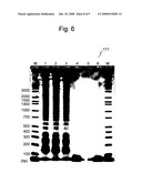 Nucleic acid amplification method diagram and image