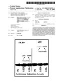 Uncoupling of DNA insert propagation and expression of protein for phage display diagram and image