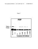 Uncoupling of DNA insert propagation and expression of protein for phage display diagram and image