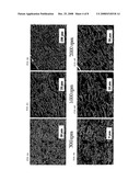 FILLER-DISPERSED MELT-KNEADED PRODUCTS, MOLDED RESIN PRODUCTS THEREOF, AND PRODUCTION METHOD THEREOF diagram and image