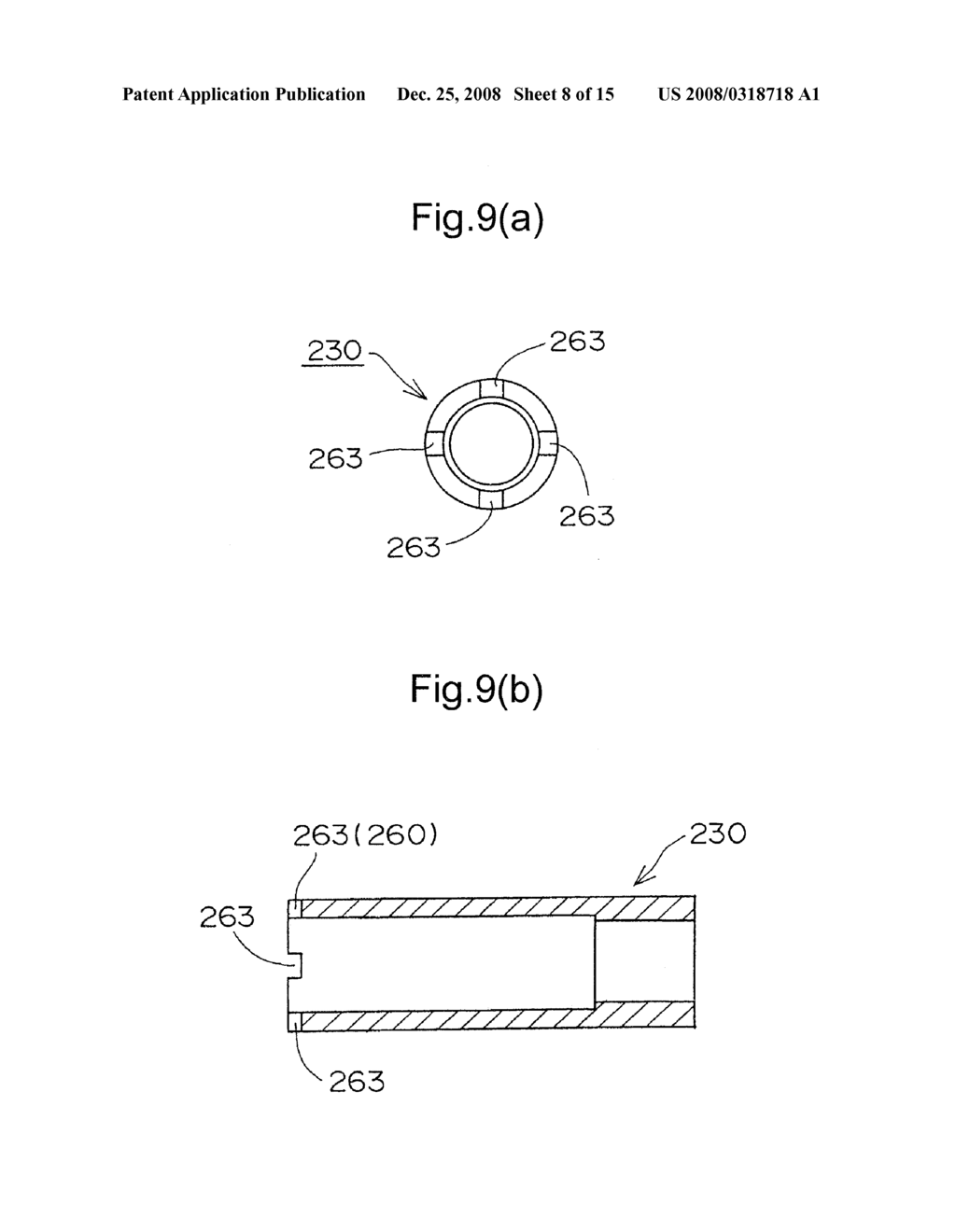 DOWNWARD ANGLE SETTABLE HYDRAULIC TENSIONER - diagram, schematic, and image 09