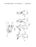 Special wrist snap developing and exercising device for softball pitchers diagram and image