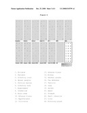 Method of Quantifying the G Protein-Coupled Receptor (Gpcr)/G Protein Coupling Using a Cell Membrane Array diagram and image