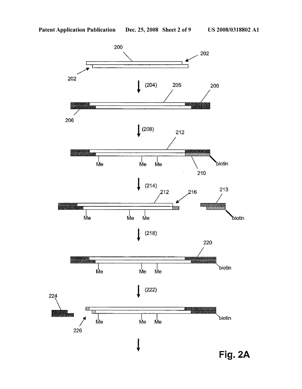 METHODS AND COMPOSITIONS FOR TAGGING AND IDENTIFYING POLYNUCLEOTIDES - diagram, schematic, and image 03