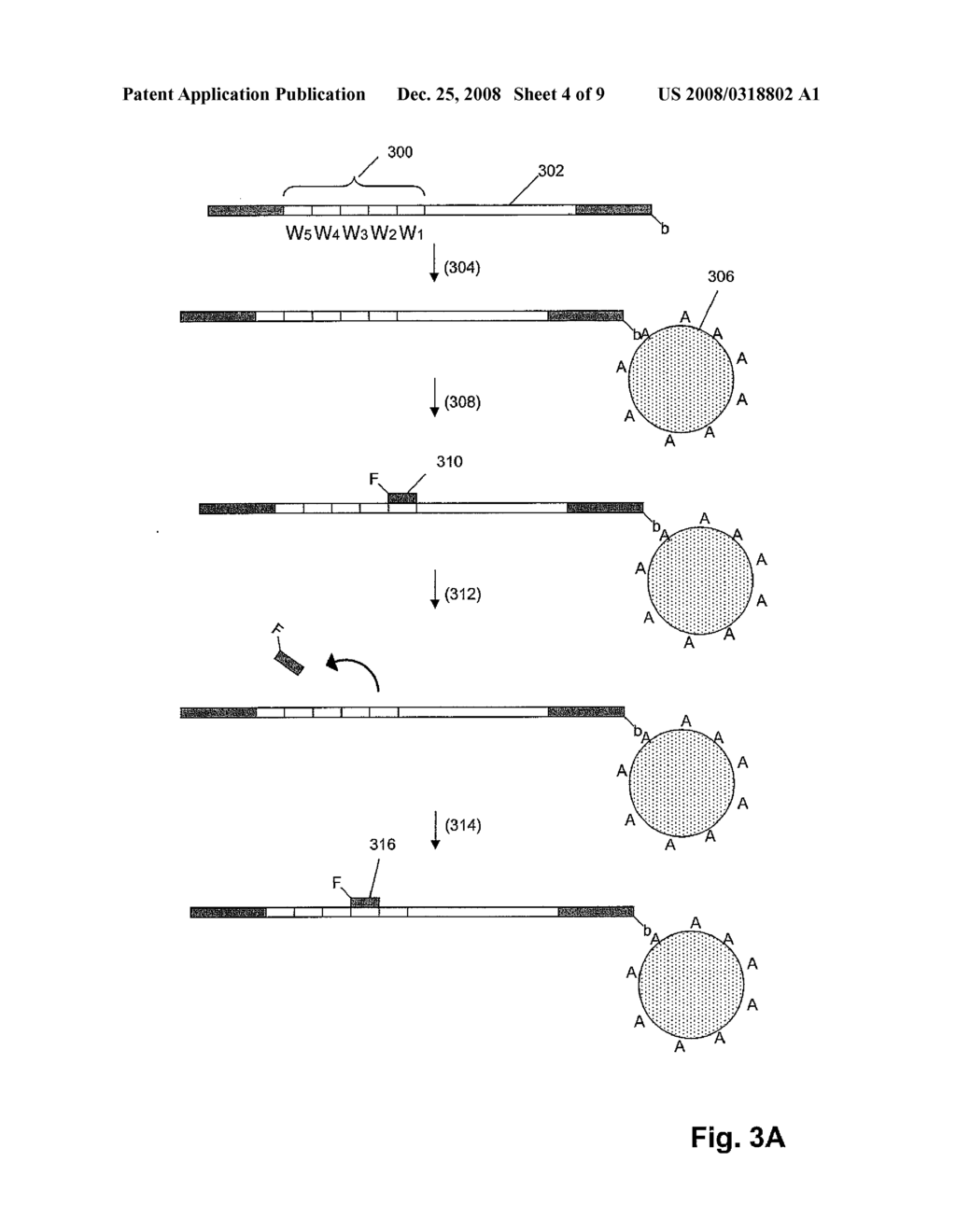 METHODS AND COMPOSITIONS FOR TAGGING AND IDENTIFYING POLYNUCLEOTIDES - diagram, schematic, and image 05