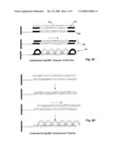 METHODS AND COMPOSITIONS FOR TAGGING AND IDENTIFYING POLYNUCLEOTIDES diagram and image