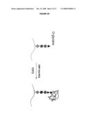 Glycopegylated Factor Ix diagram and image