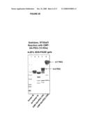 Glycopegylated Factor Ix diagram and image