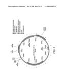 DNA ENCODING FOR RECOMBINANT POLYPEPTIDE EMUTANTS OF HUMAN STROMAL CELL-DERIVED FACTOR 1 diagram and image