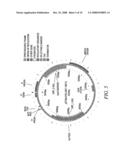 DNA ENCODING FOR RECOMBINANT POLYPEPTIDE EMUTANTS OF HUMAN STROMAL CELL-DERIVED FACTOR 1 diagram and image