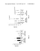 Use of Mycobacterial Mannosylated Lipoglycans Peptide Mimotopes For Treating Inflammation diagram and image