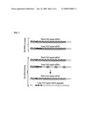 Methods for Altering Gene Expression and Methods of Treatment Utilizing Same diagram and image