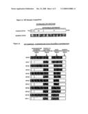 Methods of Increasing Cancer Sensitivity to Chemotherapeutic Agents Using Chimeric ISF35 diagram and image