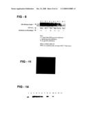 Antiproliferative activity of G-rich oligonucleotides and method of using same to bind to nucleolin diagram and image